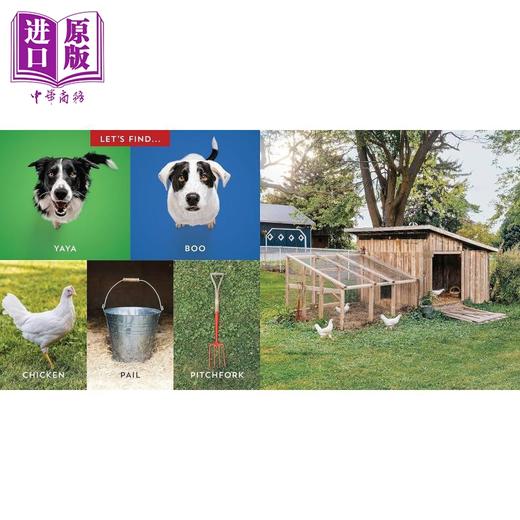 预售 【中商原版】寻找莫莫 狗狗捉迷藏找找书系列4册 Lets Find Momo Outdoors Yaya Boo At Home儿童纸板书英文原版Hide And Seek 商品图3