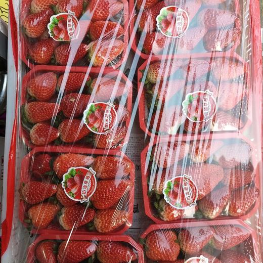 奶油草莓 商品图0