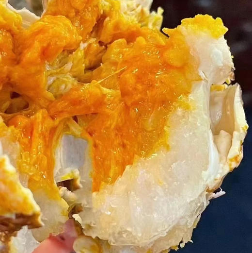 鲜活洪泽湖大闸蟹，水质好，每天喂小鱼小虾，没有土腥气，更鲜甜！母2.7-3.1 商品图1