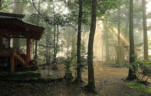 朝圣之路-日本熊野古道徒步 商品图1