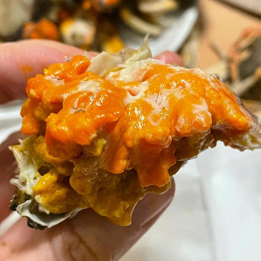 鲜活洪泽湖大闸蟹，水质好，每天喂小鱼小虾，没有土腥气，更鲜甜！母2.7-3.1 商品图0