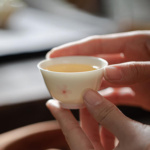 束刻/玉泥/手绘樱花撇口杯茶杯浪漫手绘粉色樱花白瓷品茗杯家用小清新个人喝茶陶瓷单杯 商品图7
