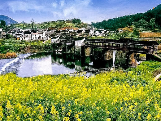 【婺源三清山2日】油菜花海-问道仙山の婺源油菜花-望仙谷/婺女洲-三清山 商品图7