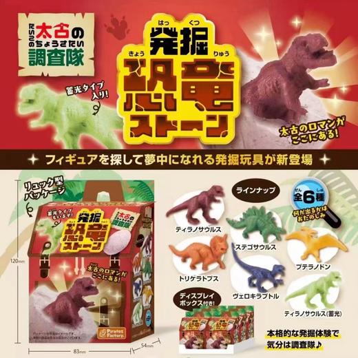 Pirates恐龙考古队盲盒 商品图0