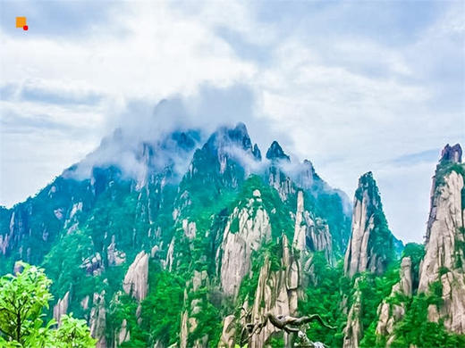 【婺源三清山2日】油菜花海-问道仙山の婺源油菜花-望仙谷/婺女洲-三清山 商品图3