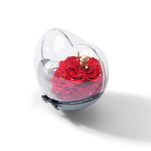 【不倒翁球】ROSEONLY诺誓 永生玫瑰 心动球  甜心兔熊猫花球 不倒翁系列 心动心心动球礼盒 送女友爱人生日礼物 商品图4