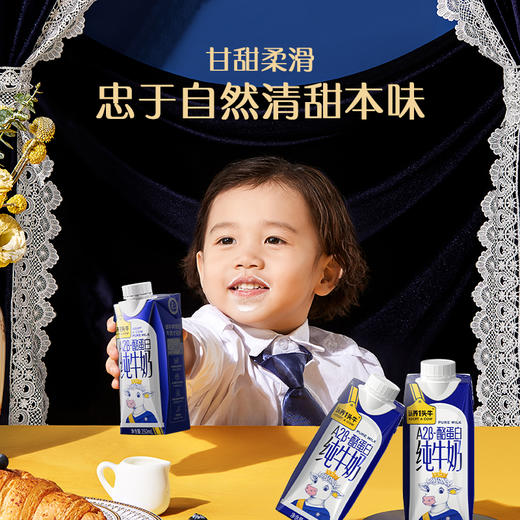认养一头牛 A2 β-酪蛋白纯牛奶 一提装/两提装/四提装 250ml*10瓶/提 商品图0
