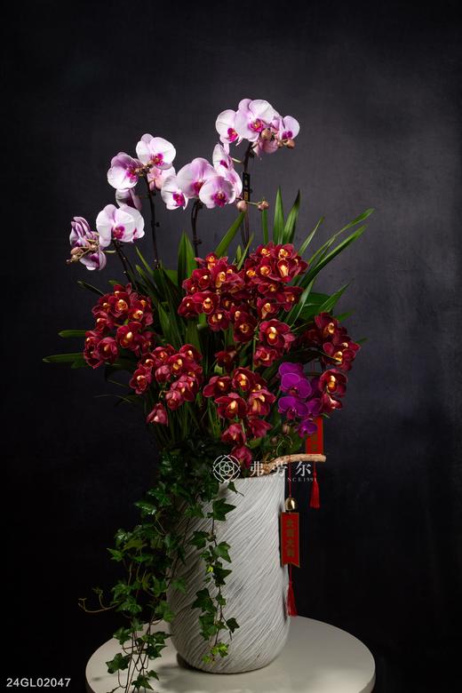 24GL02047 商品图0