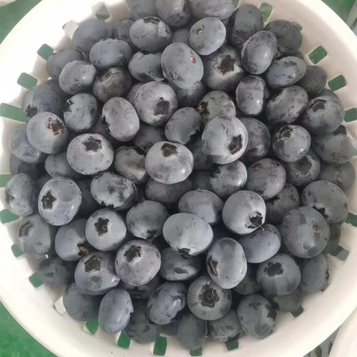 花香蓝莓（125g*12盒） 商品图1