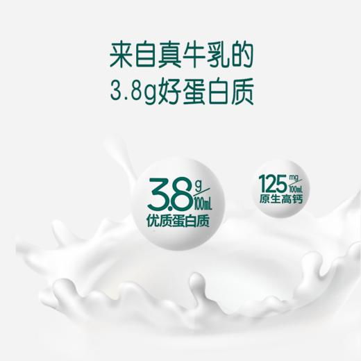 【礼盒装】圣牧有机纯牛奶全脂灭菌乳利乐梦幻盖 250ml*10盒*1箱 3.8g优质蛋白 125mg原生高钙 商品图2