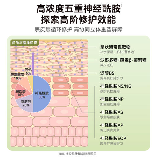 HBN厚皮精华液五重高浓度神经酰胺B5敏感肌 商品图3