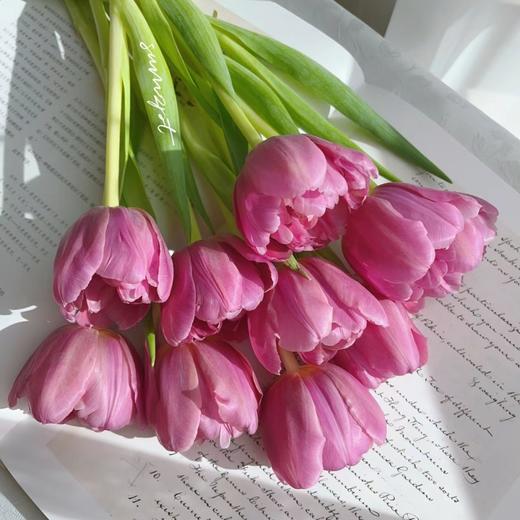 精品鲜花瑞塔重瓣郁金香10支 商品图3