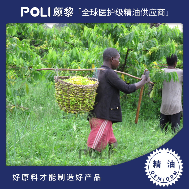 马达加斯加进口完整依兰精油进口单方精油原料颇黎进口天然精油