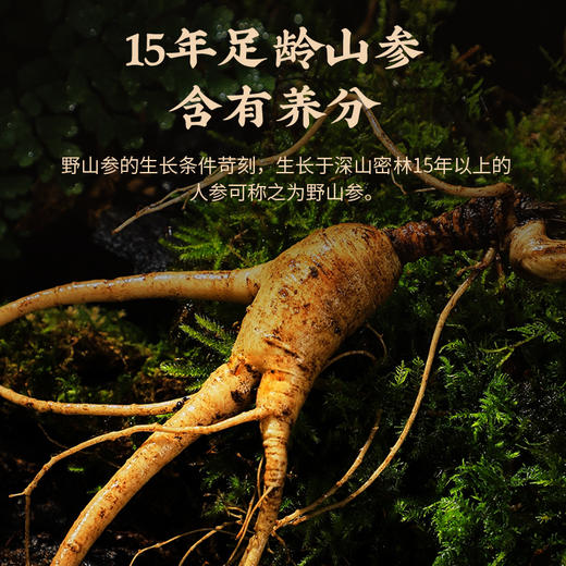 雷允上15年野山参粉7g(1g*7瓶)/盒 商品图1