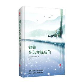 钢铁是怎样炼成的 尼·奥斯特洛夫斯基 著 外国文学