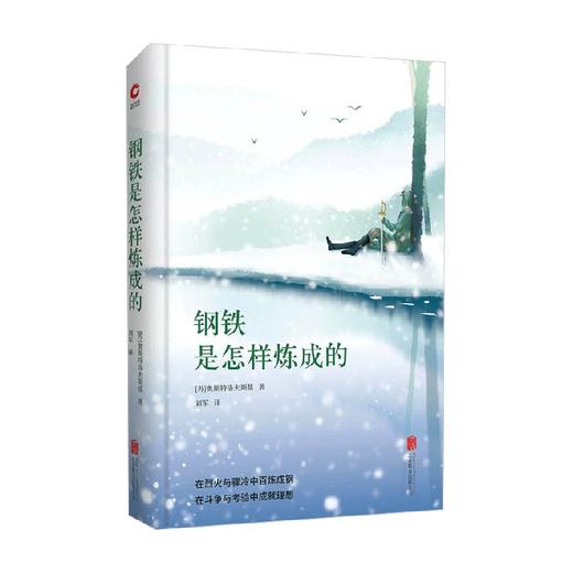 钢铁是怎样炼成的 尼·奥斯特洛夫斯基 著 外国文学 商品图0