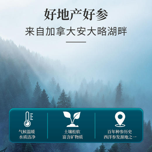 雷允上直营 | 加拿大西洋参排片100g/礼盒（直径1.6-1.8cm）加拿大进口西洋参片泡茶煲汤 商品图5