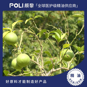 意大利进口绿葡萄柚精油 绿葡萄柚精油原料批发 颇黎单方精油原料