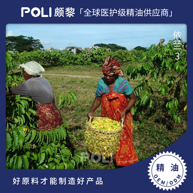 马达加斯加进口依兰3精油 单方精油原料批发 进口美容院按摩精油