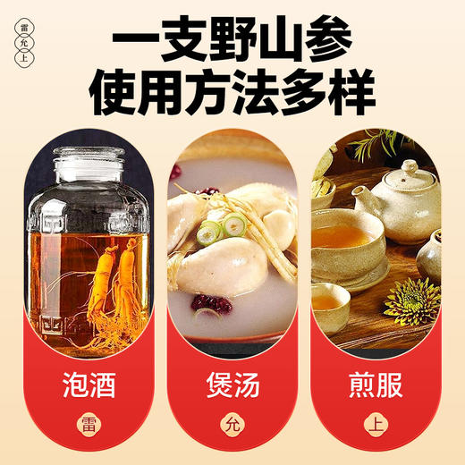 雷允上直营 | 长白山林下野山参整支2.5-3.5g/盒 15年整支野山参 高端滋补 商品图4