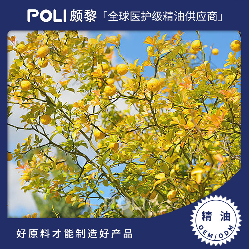 意大利进口苦橙精油原料 颇黎天然苦橙精油香薰 苦橙单方精油批发