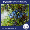 印度进口杜松子精油原料杜松子莓浆果单方精油 颇黎按摩护肤精油批发 商品缩略图0