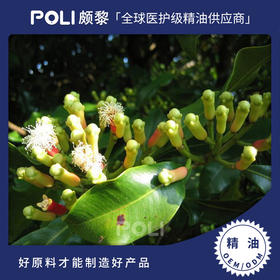 印尼进口丁香花苞精油印尼精油原料批发颇黎POLI进口丁香花苞精油