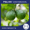 意大利进口无光敏佛手柑精油 天然精油原料 颇黎进口单方精油原料 商品缩略图0