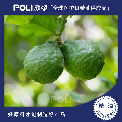 意大利进口无光敏佛手柑精油 天然精油原料 颇黎进口单方精油原料 商品图0