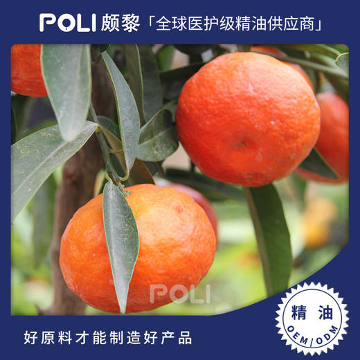 意大利进口有机红柑橘精油原料颇黎美容院护肤单方精意大利进口精油 商品图0