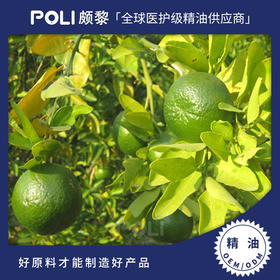 意大利进口冷压绿橘精油单方精油原料批发 颇黎进口绿桔精油原料