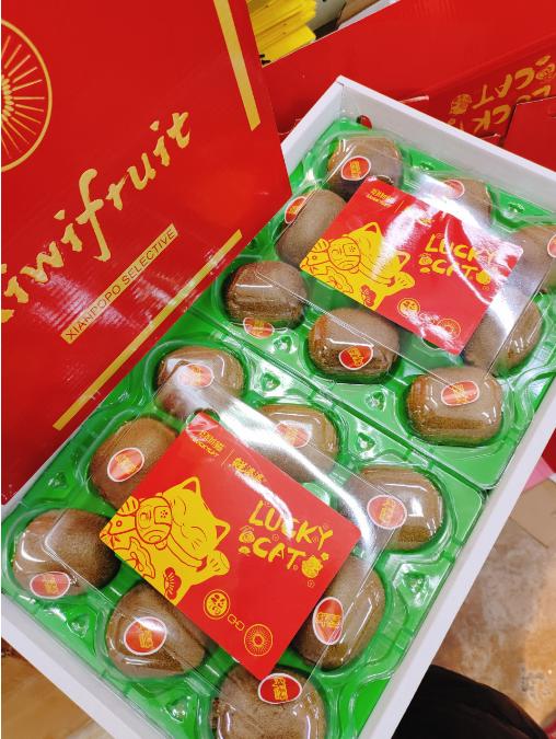 招财猫奇异果礼盒 商品图2