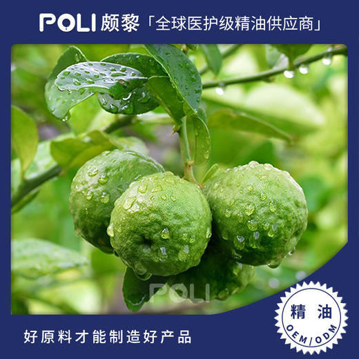 意大利进口佛手柑精油意大利进口护肤品精油原料颇黎单方精油原料 商品图0