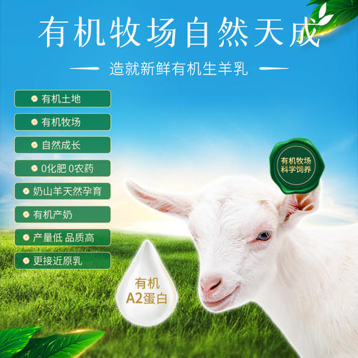 百跃跃纯有机羊乳粉600克 商品图4