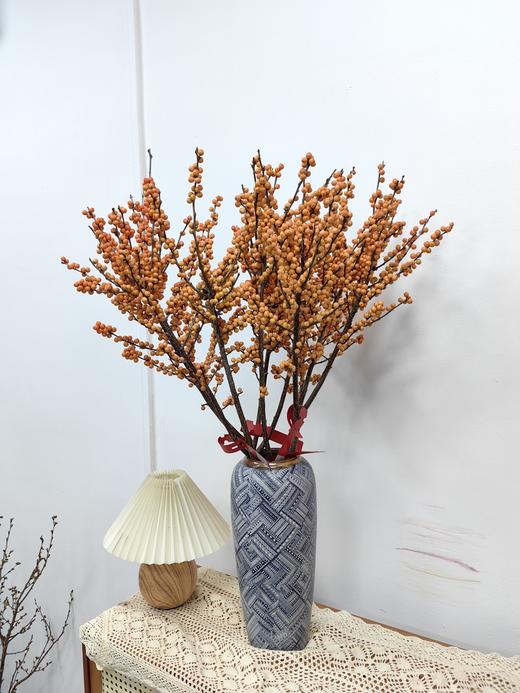 一枝独秀爱马仕橙冬青 商品图0