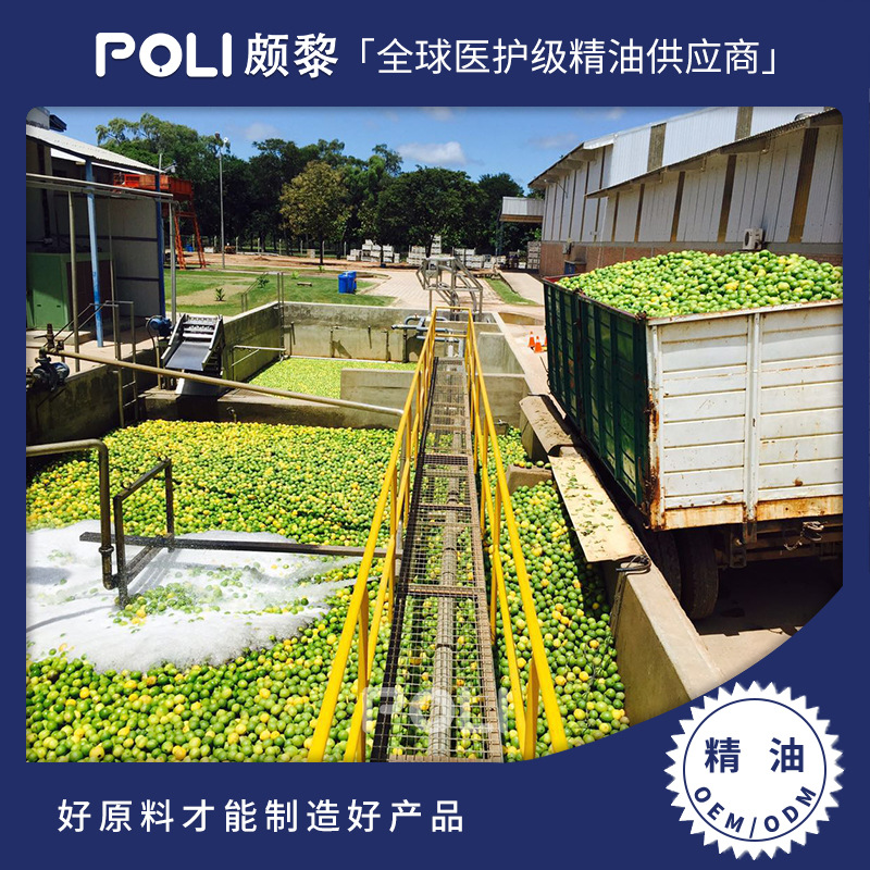 意大利冷压进口柠檬精油 柠檬精油原料批发 POLI颇黎进口单方精油