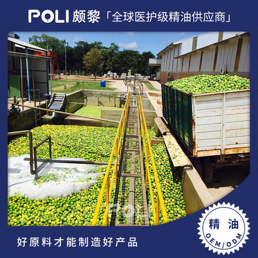 意大利冷压进口柠檬精油 柠檬精油原料批发 POLI颇黎进口单方精油 商品图0