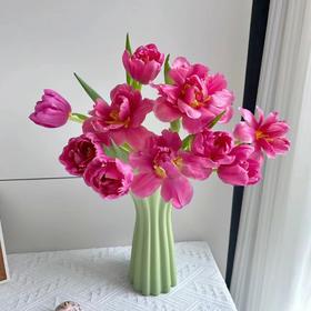 精品鲜花瑞塔重瓣郁金香10支