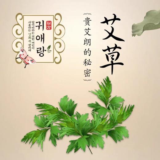 韩国lG贵爱娘韩方中草药卫生巾中款日用25cm18P 商品图5