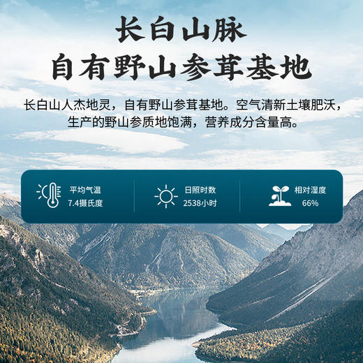 雷允上15年野山参粉7g(1g*7瓶)/盒 商品图2