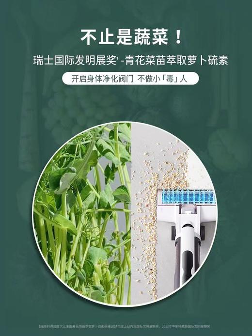 【春蚕推荐】（3件5折）氧禾蔬菜效应植物复合固体饮料14天 商品图2