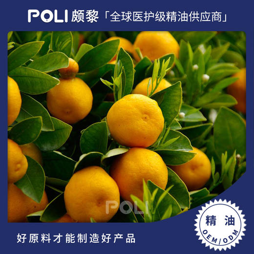 意大利有机甜橙精油 进口精油原料批发灌装 颇黎POLI单方按摩精油 商品图0