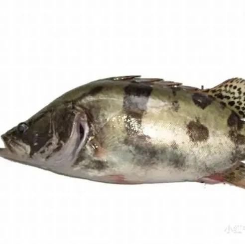 预约年夜饭鲜活鱼，门店直配到家，可充氧，可宰杀！下单备注送货日期跟时间！ 商品图6