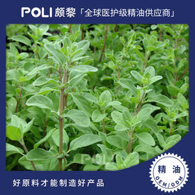 法国进口马郁兰精油天然单方精油原料 颇黎马郁兰精油原料批发