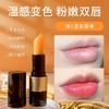 秋冬滋润保湿润唇膏 补水防干裂温变口红 唇部护理淡化唇纹彩妆 商品缩略图1