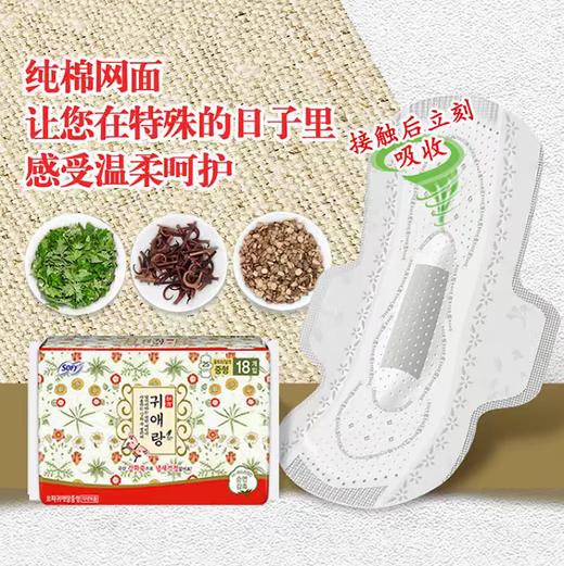 韩国lG贵爱娘韩方中草药卫生巾中款日用25cm18P 商品图2