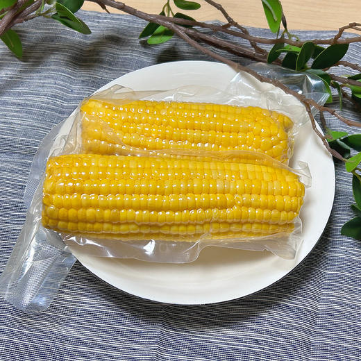 多彩玉米15根装 商品图5