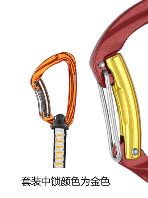 GRIVEL 菊绳 RTGDAISYGE accessory rock safety GRIVEL DAISY CHAIN EVO TWIN (w/K8G) 125 cm 商品图1
