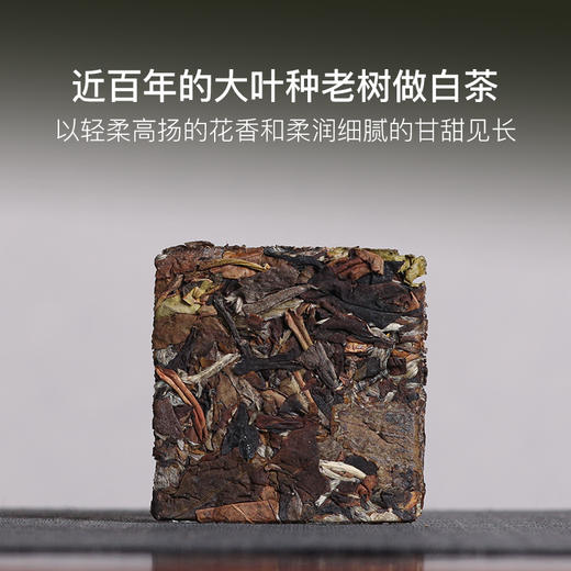 2021年云南无量山吉光老树白茶饼干薄片 商品图1