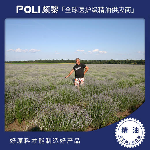 保加利亚进口有机薰衣草精油原料进口薰衣草精油香薰按摩护肤单 商品图0